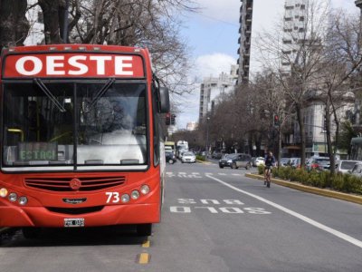El boleto de colectivo vuelve a subir en La Plata, Berisso y Ensenada: cu&aacute;nto costar&aacute; desde octubre