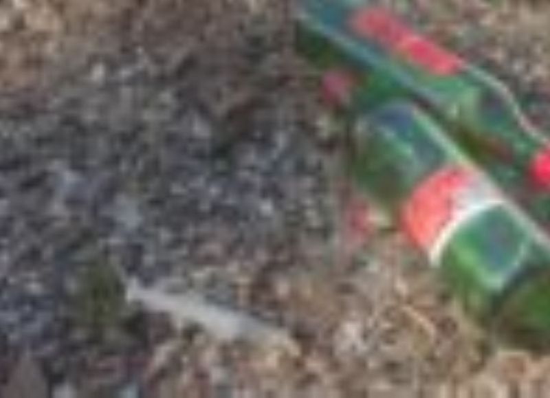 Botellas y jeringas en parque Saavedra