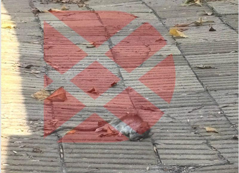 actualmente al menos una permanece en estado de descomposición.