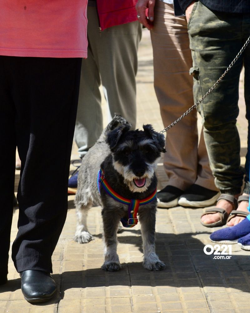Resaltando que la inseguridad ha alcanzado niveles alarmantes y afecta su calidad de vida.