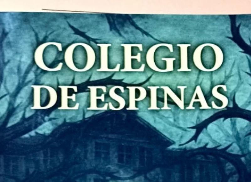 Con solo 14 años, la platense Mía Belastegui lanzó "Colegio de Espinas", un libro sobre el bullying que sufrió